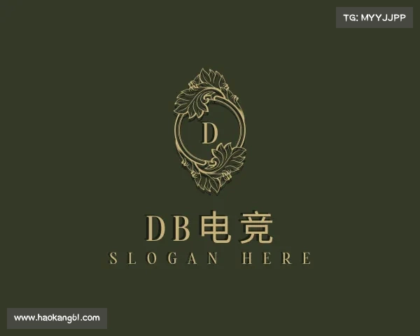 介绍&#x44;&#x42;&#x7535;&#x7ade;