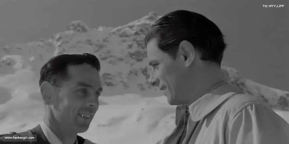 为什么选择我们